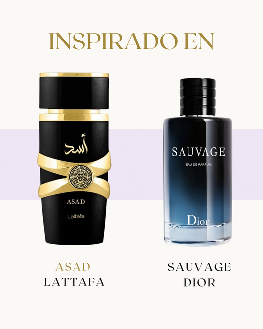 Asad Lattafa EDP 100ML